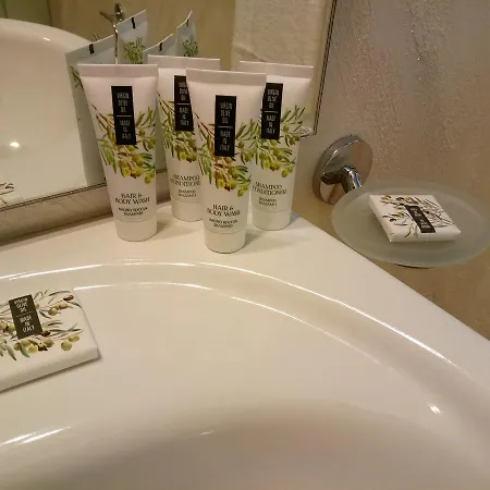 ホテル Etnea Royal 3*